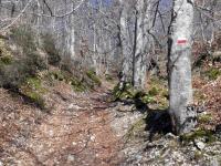 Sentiero per la Cappelletta