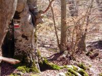 Sentiero per la Cappelletta