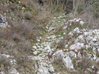 Inizio sentiero Greccio - La Cappelletta