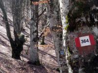 Sentiero per la Cappelletta