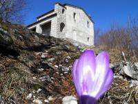Scorcio della Cappelletta di Greccio