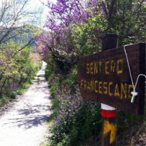 Da Greccio a Stroncone